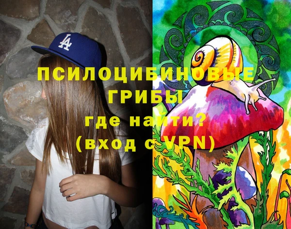 ГАЛЛЮЦИНОГЕННЫЕ ГРИБЫ Алексин